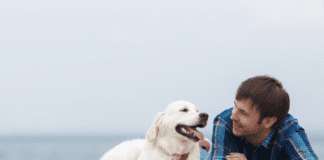 Top 13 Best Dog Friendly Beaches in USA Dog Friendly Beaches Near Me in Alabama, USA