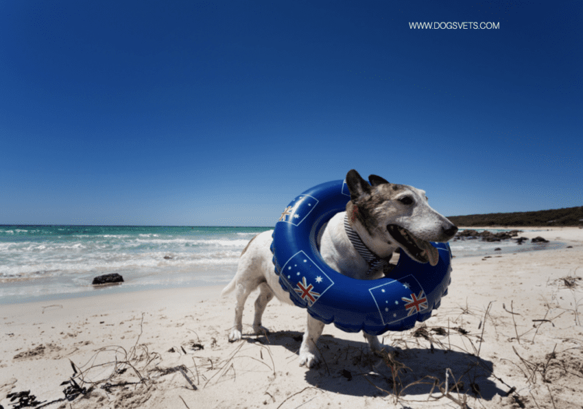 Dog Friendly Beaches Duol Kanako: Alabama, USA