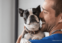 Why You Need Pet Insurance and How It Can Benefit Your furry Friend Why You Need Pet Insurance and How It Can Benefit Your furry Friend