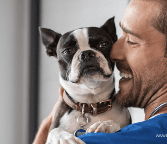 Why You Need Pet Insurance and How It Can Benefit Your furry Friend Why You Need Pet Insurance and How It Can Benefit Your furry Friend