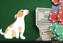 Are dogs allowed in Las Vegas Casinos? 5 Tips to know Are dogs allowed in Las Vegas Casinos? 5 Tips to know