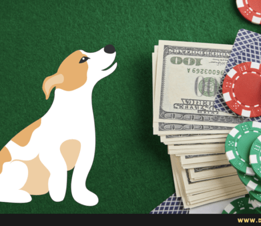 Are dogs allowed in Las Vegas Casinos? 5 Tips to know Are dogs allowed in Las Vegas Casinos? 5 Tips to know