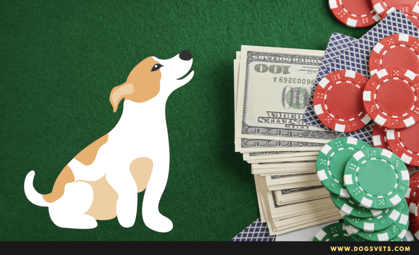 Are dogs allowed in Las Vegas Casinos? 5 Tips to know