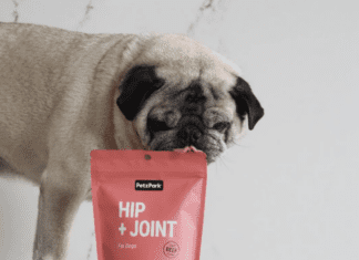 5 ingredients to look for in dog joint supplements 5 ingredients to look for in dog joint supplements