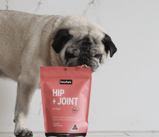 5 ingredients to look for in dog joint supplements 5 ingredients to look for in dog joint supplements