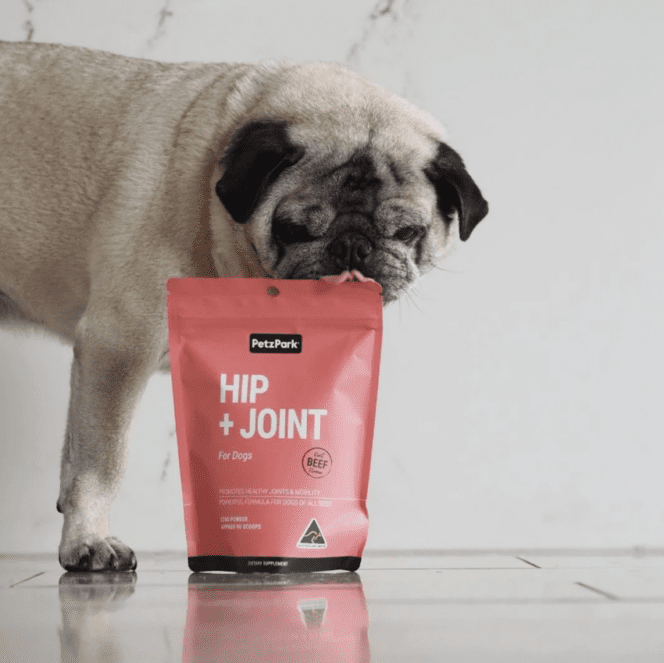 5 ingredients to look for in dog joint supplements