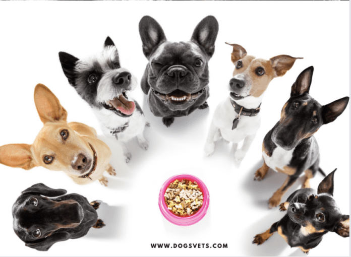 Types of Dogs: List of Dog Breeds - Dog Diets Explained