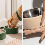 Hate Cleaning Up After Your Pets? 4 Products That Will Make Your Life Easier