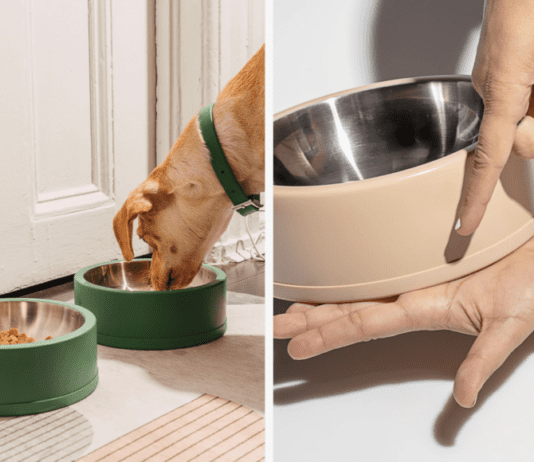 Hate Cleaning Up After Your Pets? 4 Products That Will Make Your Life Easier Hate Cleaning Up After Your Pets? 4 Products That Will Make Your Life Easier