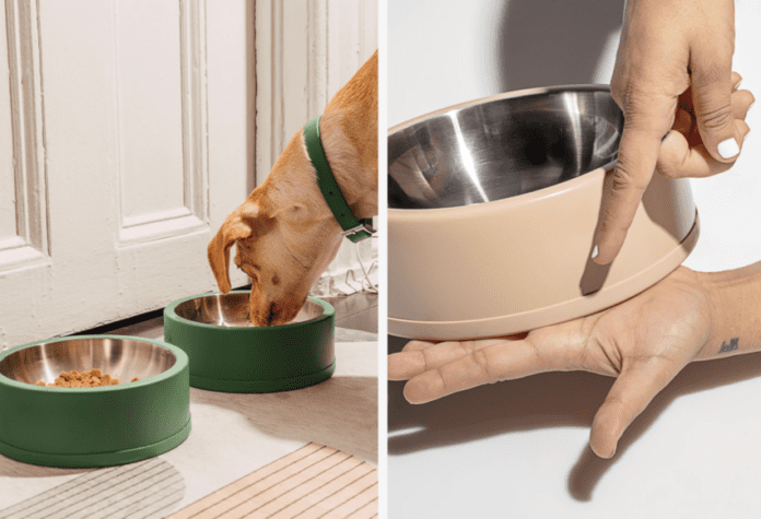 Hate Cleaning Up After Your Pets? 4 Products That Will Make Your Life Easier