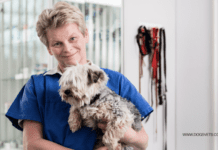 Health Conditions Puppy Owners Need To Be Aware Of Health Conditions Puppy Owners Need To Be Aware Of