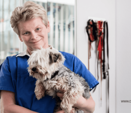 Health Conditions Puppy Owners Need To Be Aware Of Health Conditions Puppy Owners Need To Be Aware Of