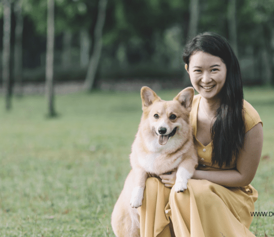 3 Top Tips for Dog Ownership Top Tips for Dog Ownership