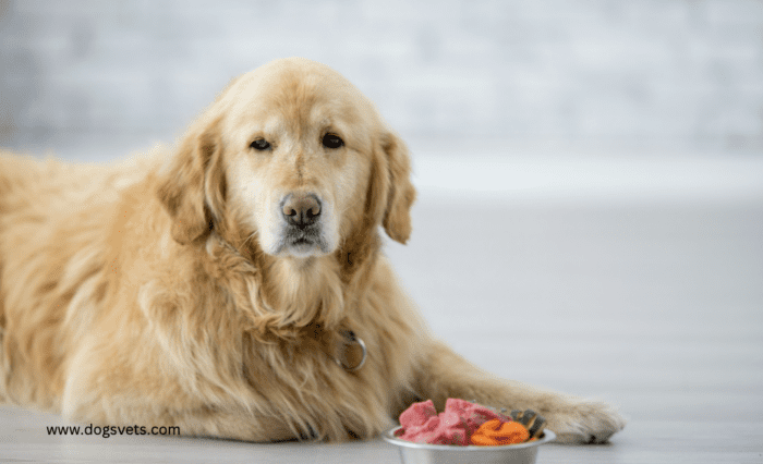advantages of feeding your dog raw food
