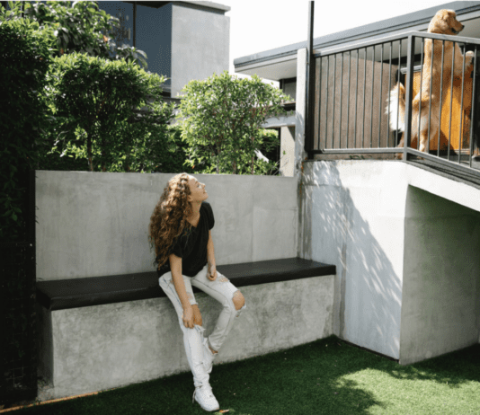 How To Protect Your Dog From The Neighbourhood And Vice Versa How To Protect Your Dog From The Neighbourhood And Vice Versa