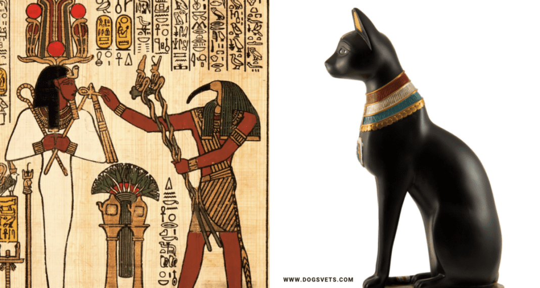 Cats in ancient Egypt What are cats called in ancient Egypt?