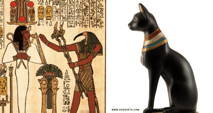 古埃及的猫