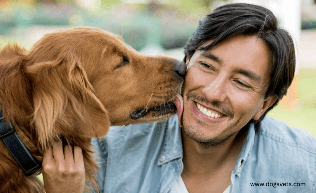 Why Do Dogs Lick Everything So Much