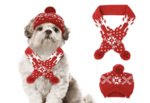 10 Christmas Gift Ideas for the Dogs and Dog Lovers in Your Life 10 Christmas Gift Ideas for the Dogs and Dog Lovers in Your Life