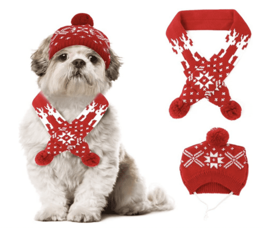 10 Christmas Gift Ideas for the Dogs and Dog Lovers in Your Life 10 Christmas Gift Ideas for the Dogs and Dog Lovers in Your Life
