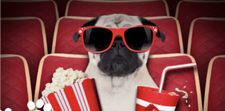 21+ Holiday Dog Movies to Watch During Christmas 19+ Holiday Dog Movies to Watch During Christmas