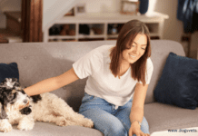 Can You Get Insurance if Your Pet is Sick Already? Can You Get Insurance if Your Pet is Sick Already?