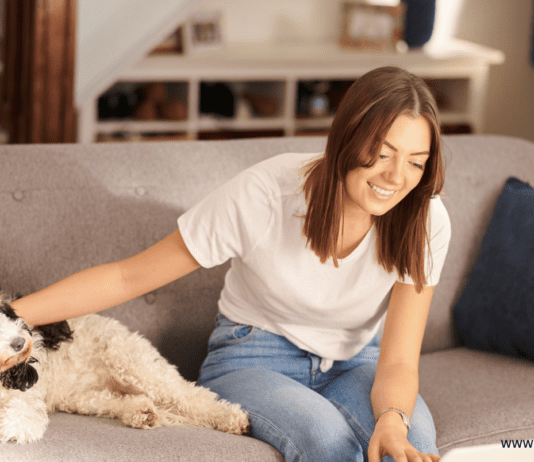 Can You Get Insurance if Your Pet is Sick Already? Can You Get Insurance if Your Pet is Sick Already?