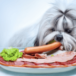 The Best Food for Fussy Dogs in 2022