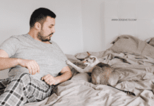 Cat Scratch Disease: Can minor cat scratch cause rabies? Cat Scratch Disease: Can minor cat scratch cause rabies?