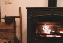 Designing a Warm Abode for Your Dog Designing a Warm Abode for Your Dog