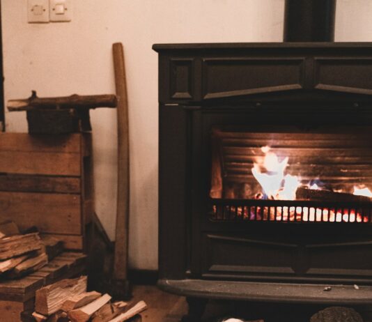 Designing a Warm Abode for Your Dog Designing a Warm Abode for Your Dog