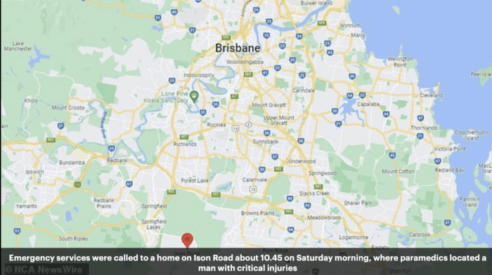Brisbane ştatının Greenbank şəhərində bir adam bir neçə itin hücumuna məruz qaldıqdan sonra.