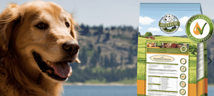 Should you feed your dog grain-free food as a pet lover?