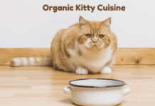 Organic Kitty Cuisine: A Guide to Tasty and Nutritious Cat Food Organic Kitty Cuisine: A Guide to Tasty and Nutritious Cat Food