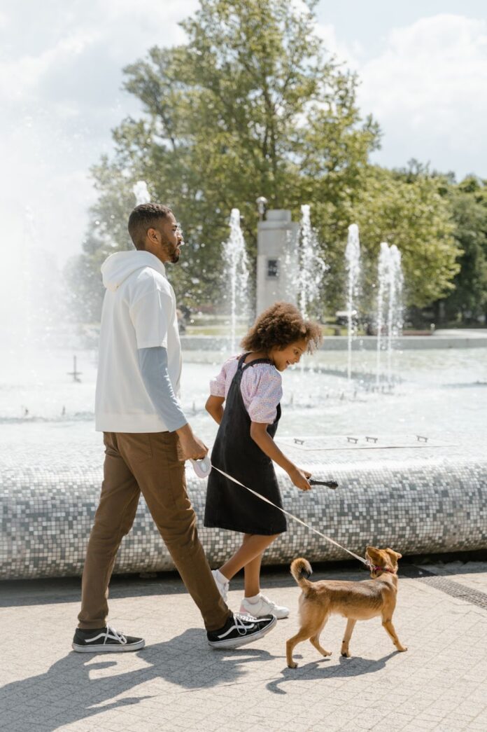 5 Useful Accessories for Your Dog Walks