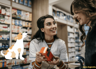 Are Online Pet pharmacies Safe for My Pets? 10 Facts to Know