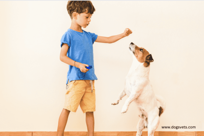 How to train with a dog clicker - A Complete Guide
