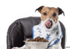 5 Tips on How to Choose The Best Dog Food Subscription 5 Tips on How to Choose The Best Dog Food Subscription