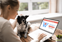 4 Best Smart Home Products for Your Dog 4 Best Smart Home Products for Your Dog