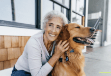 3 Tips For A Healthy and Safe Pet Dog 3 Tips For A Healthy and Safe Pet Dog