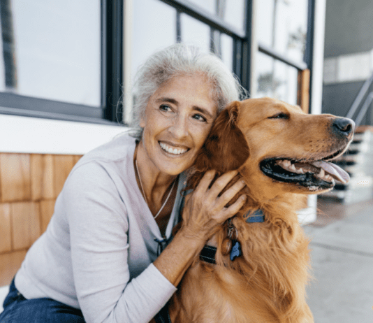 3 Tips For A Healthy and Safe Pet Dog 3 Tips For A Healthy and Safe Pet Dog