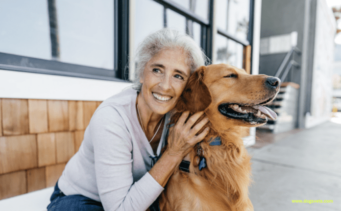 3 wskazówki dotyczące zdrowego i bezpiecznego psa