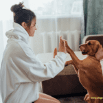 19 Most Loyal Dog Breeds + Their Life Span & Health 19 Most Loyal Dog Breeds + Their Life Span & Health