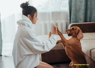 19 Most Loyal Dog Breeds + Their Life Span & Health 19 Most Loyal Dog Breeds + Their Life Span & Health