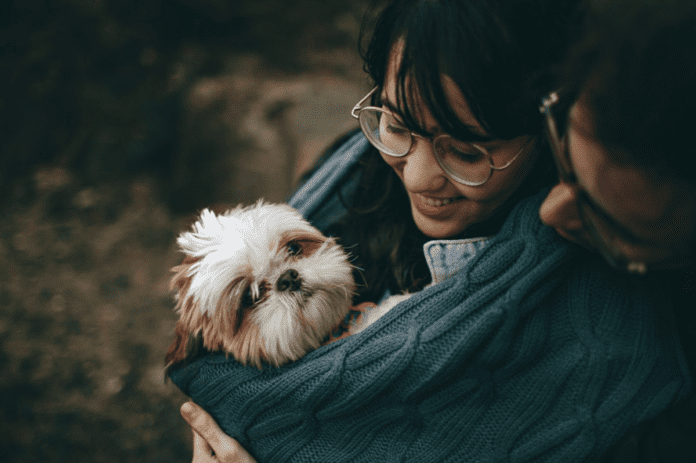 The Ultimate Guide to Choosing the Best Dog Breed for Your Family