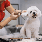 Dog Grooming Tables that Support an Ergonomic Design