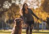 Dog Training Tips for Beginners: Ultimate Guide to Training Your Dog