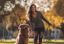 Dog Training Tips for Beginners: Ultimate Guide to Training Your Dog Dog Training Tips for Beginners: Ultimate Guide to Training Your Dog