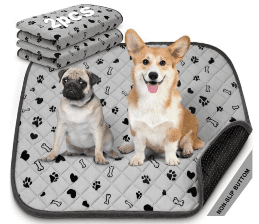 Washable Dog Pee Pads: Ultimate Guide for Puppy Potty Training Washable Dog Pee Pads: Ultimate Guide for Puppy Potty Training