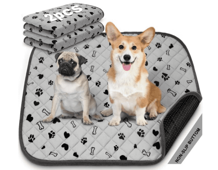 Cuscinetti lavabili per pipì per cani: guida definitiva per l'addestramento al vasino dei cuccioli